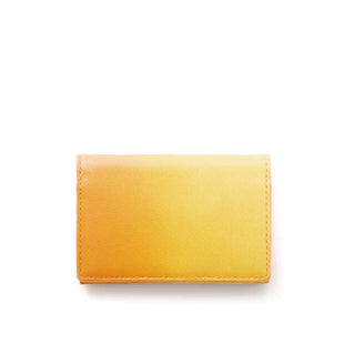 Irodori Card Case